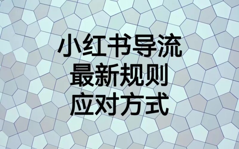 小红书导流最新规则应对方式，新规以后目前还可用的引流方式解读_免费分享网络创业,副业,信息差项目的老牌资源整合平台！金铲子项目