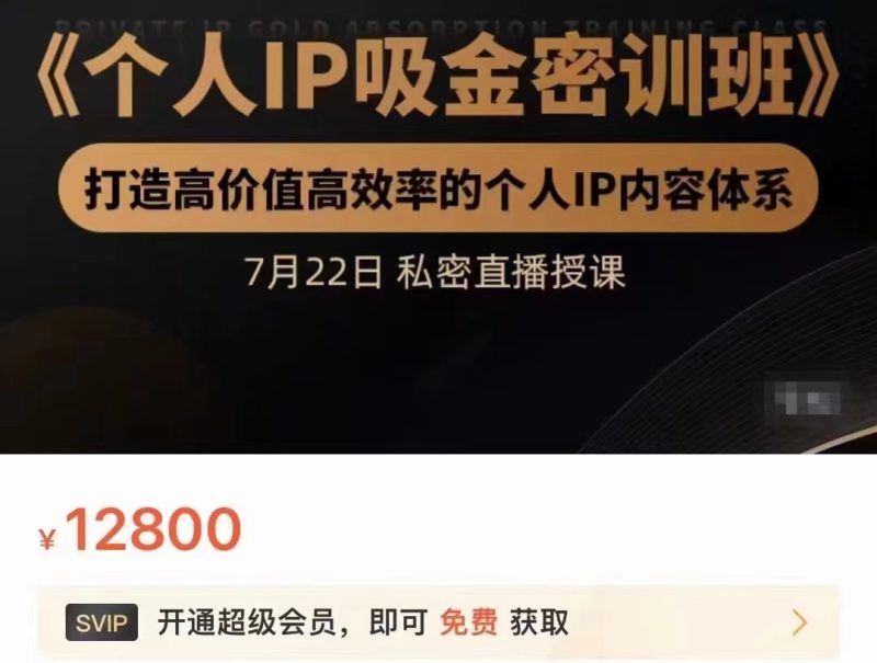 个人IP吸金密训班，打造高价值高效率的个人IP内容体系（价值12800元）_免费分享网络创业,副业,信息差项目的老牌资源整合平台！金铲子项目