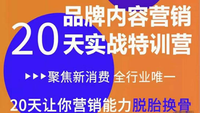 《内容营销实操特训营》20天让你营销能力脱胎换骨（价值3999）_免费分享网络创业,副业,信息差项目的老牌资源整合平台！金铲子项目