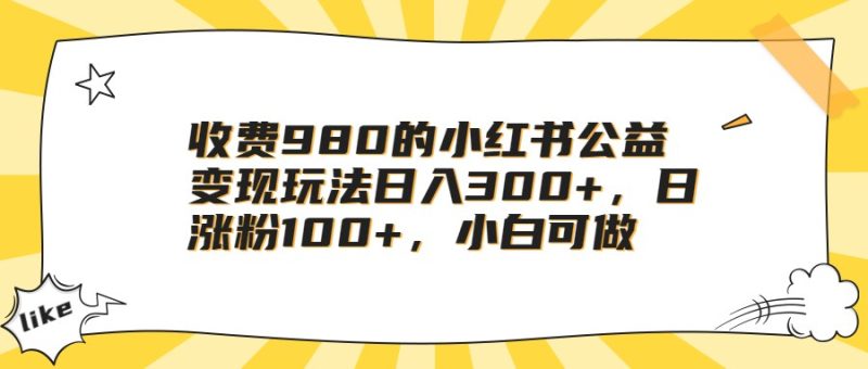 收费980的小红书公益玩法，日涨粉，小白可做_免费分享网络创业,副业,信息差项目的老牌资源整合平台！金铲子项目