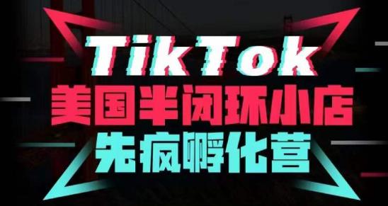 疯人院·TikTok美国半闭环小店孵化营，抢占TikTok美国蓝海市场，开店、运营、带货、投流全实操_免费分享网络创业,副业,信息差项目的老牌资源整合平台！金铲子项目