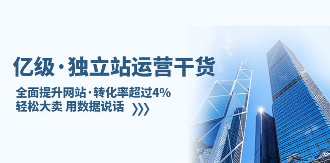 （5279期）亿级·独立站运营干货：全面提升网站·转化率超过4%，大卖用数据说话_免费分享网络创业,副业,信息差项目的老牌资源整合平台！金铲子项目
