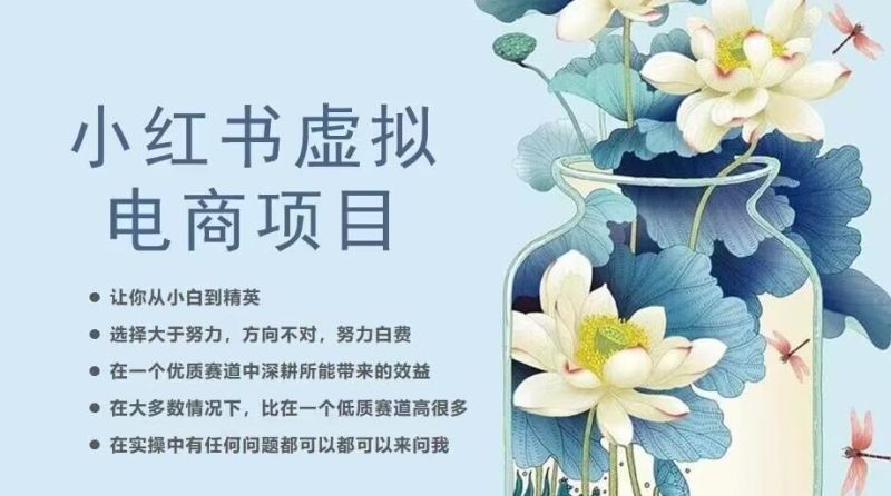 小红书虚拟电商从0到1，让你从小白到精英（20节实操课程）_免费分享网络创业,副业,信息差项目的老牌资源整合平台！金铲子项目