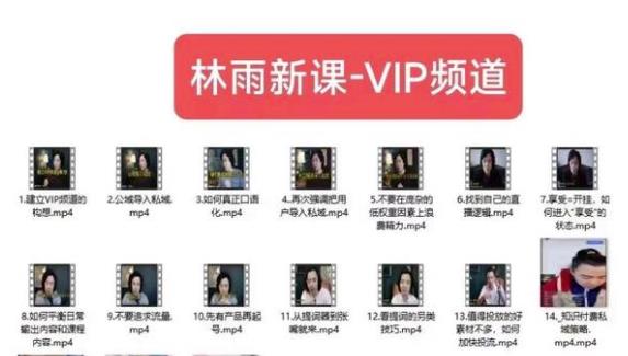 林雨新课VIP频道，玩赚私域/朋友圈/社群_免费分享网络创业,副业,信息差项目的老牌资源整合平台！金铲子项目