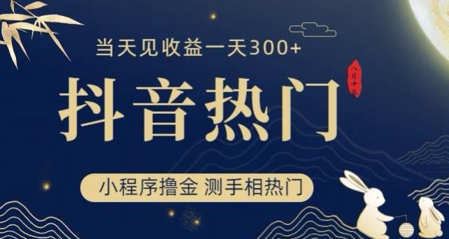 抖音最新小程序撸金，测手相上热门，见一小时【揭秘】_免费分享网络创业,副业,信息差项目的老牌资源整合平台！金铲子项目