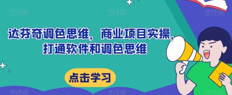 达芬奇调色思维，商业项目实操，打通软件和调色思维_免费分享网络创业,副业,信息差项目的老牌资源整合平台！金铲子项目