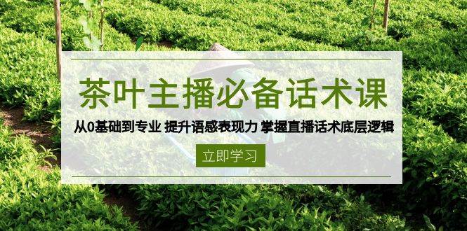 茶叶主播必备话术课从0基础到专业提升语感表现力掌握直播话术底层逻辑_免费分享网络创业,副业,信息差项目的老牌资源整合平台！金铲子项目