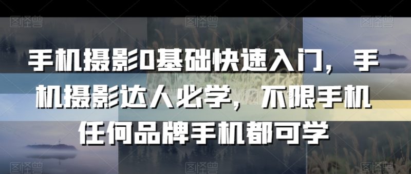 手机摄影0基础快速入门，手机摄影达人必学，不限手机任何品牌手机都可学_免费分享网络创业,副业,信息差项目的老牌资源整合平台！金铲子项目