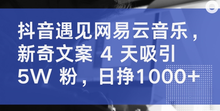 抖音遇见网易云音乐，新奇文案4天吸引粉，日挣_免费分享网络创业,副业,信息差项目的老牌资源整合平台！金铲子项目