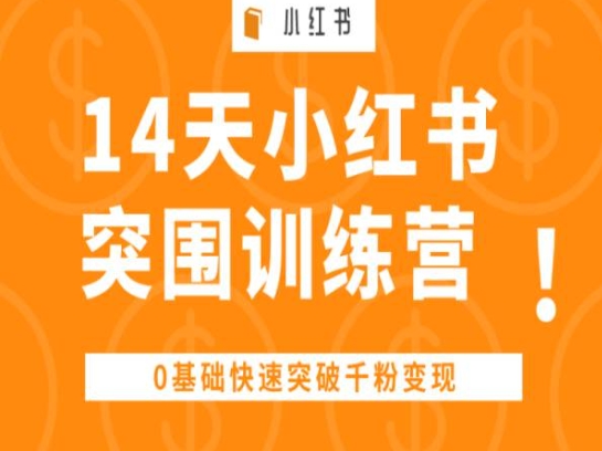 14天小红书突围训练营，0基础快速突破千粉_免费分享网络创业,副业,信息差项目的老牌资源整合平台！金铲子项目