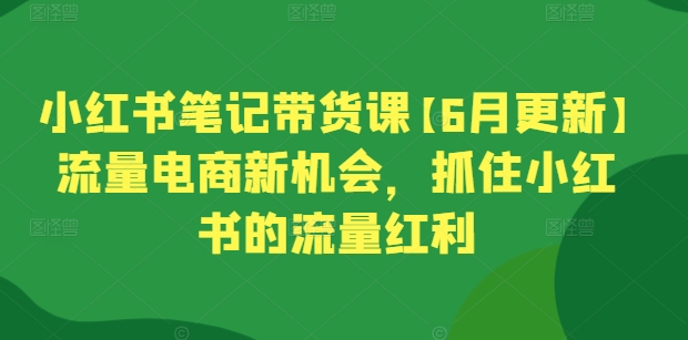 小红书笔记带货课【6月更新】流量电商新机会，抓住小红书的流量红利_免费分享网络创业,副业,信息差项目的老牌资源整合平台！金铲子项目