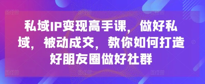 私域IP高手课，做好私域，被动成交，教你如何打造好朋友圈做好社群_免费分享网络创业,副业,信息差项目的老牌资源整合平台！金铲子项目
