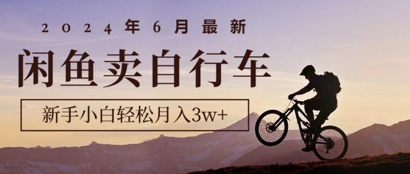 （10915期）2024年6月最新闲鱼卖自行车，新手小白项目_免费分享网络创业,副业,信息差项目的老牌资源整合平台！金铲子项目