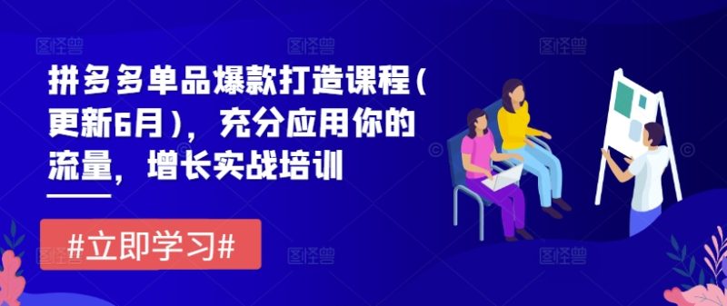 拼多多单品爆款打造课程(更新6月)，充分应用你的流量，增长实战培训_免费分享网络创业,副业,信息差项目的老牌资源整合平台！金铲子项目