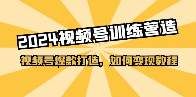 （11135期）2024视频号训练营，视频号爆款打造，如何教程（20节课）_免费分享网络创业,副业,信息差项目的老牌资源整合平台！金铲子项目