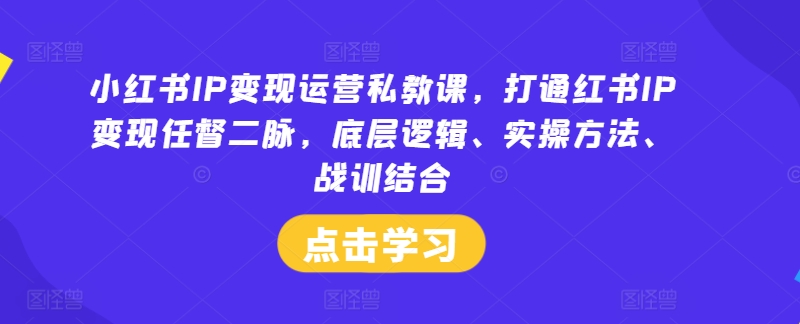 小红书IP运营私教课，打通红书IP任督二脉，底层逻辑、实操方法、战训结合_免费分享网络创业,副业,信息差项目的老牌资源整合平台！金铲子项目