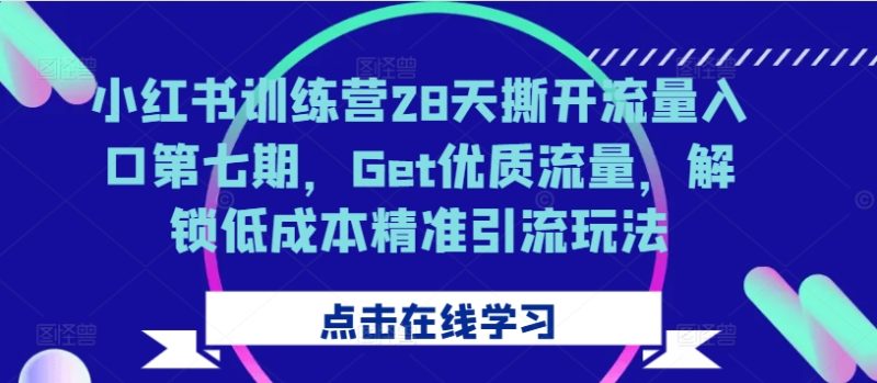 小红书训练营28天撕开流量入口第七期，Get优质流量，解锁精准引流玩法_免费分享网络创业,副业,信息差项目的老牌资源整合平台！金铲子项目