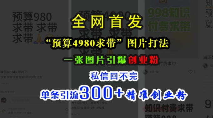 小红书“预算4980带我飞”图片打法，一张图片引爆创业粉，私信回不完，单条引流精准创业粉_免费分享网络创业,副业,信息差项目的老牌资源整合平台！金铲子项目