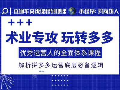 术业专攻玩转多多，优秀运营人的全面体系课程，解析拼多多运营底层必备逻辑_免费分享网络创业,副业,信息差项目的老牌资源整合平台！金铲子项目