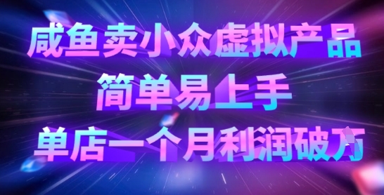 咸鱼卖小众虚拟产品，简单易上手，单店一个月利润破W_免费分享网络创业,副业,信息差项目的老牌资源整合平台！金铲子项目