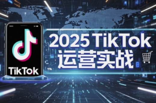 2025TikTok电商运营，掌握TikTok店铺运营核心技巧，实现高转化_免费分享网络创业,副业,信息差项目的老牌资源整合平台！金铲子项目