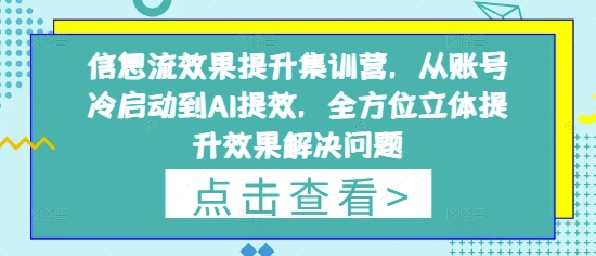 信息流效果提升集训营，从账号冷启动到AI提效，全方位立体提升效果解决问题_免费分享网络创业,副业,信息差项目的老牌资源整合平台！金铲子项目
