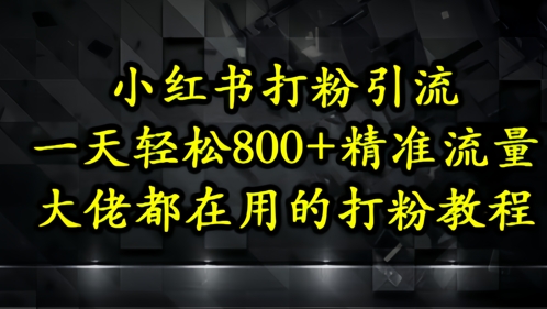 小红书打粉引流，一天精准流量，大佬都在用的打粉教程_免费分享网络创业,副业,信息差项目的老牌资源整合平台！金铲子项目