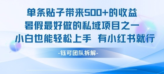 单条贴子带来的，暑假最好做的私域项目之一，小白也能上手，有小红书就行_免费分享网络创业,副业,信息差项目的老牌资源整合平台！金铲子项目