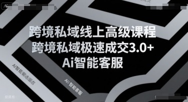 跨境私域线上高级课程，跨境私域极速成交3.0Ai智能客服_免费分享网络创业,副业,信息差项目的老牌资源整合平台！金铲子项目